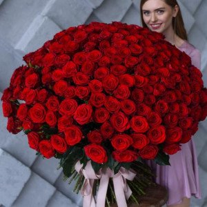 Большой букет высоких роз 151 штука с лентами