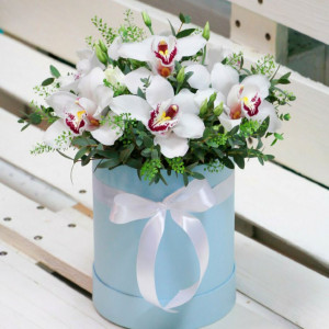 Коробка 11 белых орхидей с зеленью